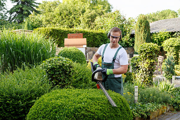 Channel Lake, IL Tree Services Company